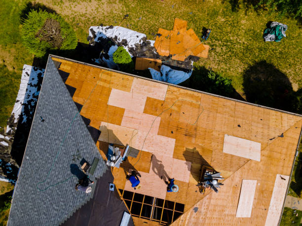 Trusted Creola, AL Roofing Contractor Experts