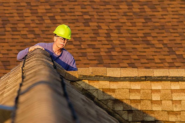 Best Roof Gutter Cleaning  in Creola, AL